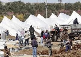 عدد النازحين السوريين إلى لبنان يتجاوز الــ 665 ألفاً