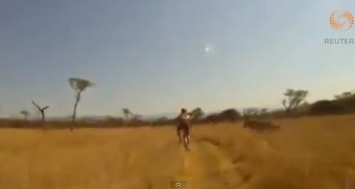 بالفيديو... نطحة غزال غاضب توقع قائد دراجة هوائية في أدغال إفريقيا ... والدماء تسيل من وجهه