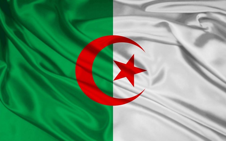 الجزائر: المعارضة تعزو شلل مؤسسات الدولة إلى عجز الرئيس عن أداء مهامه
