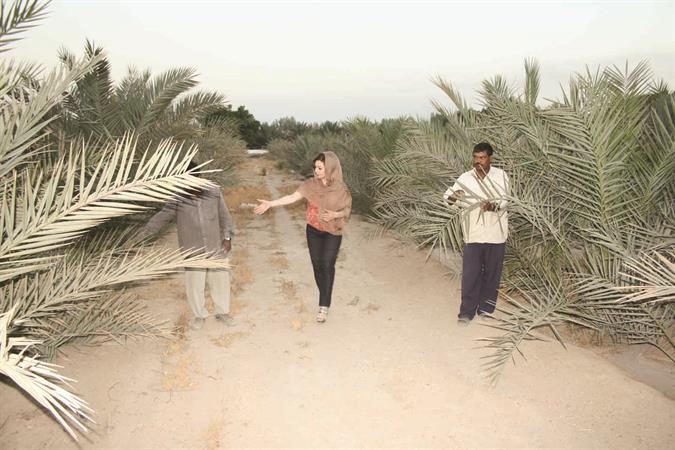 نادية العثمان في احدى مزارع النخيل
