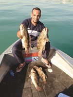 بدر النجدي مع بواليل الجنوب