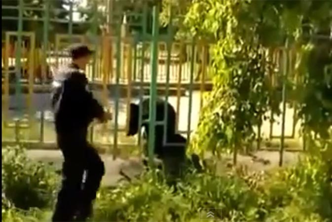 بالفيديو.. الشرطة الروسية تقتل دباً بـ 6 رصاصات
