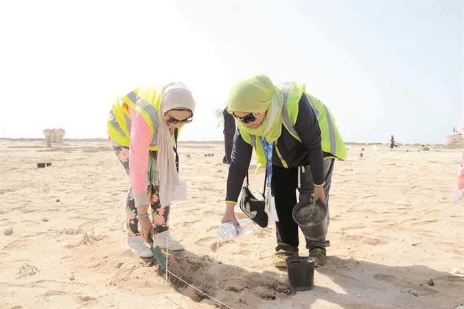  متطوعتان تقومان بزراعة نبات الهرم﻿