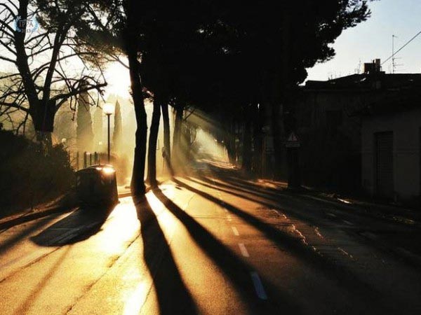 "الإندبندنت" تكشف عن أجمل 10 صور فازت بمسابقة "آيفون" 2013