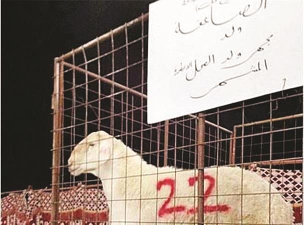 الخروف الصاعقة