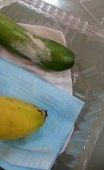  احدى الوجبات الغذائية ويظهر العفن فيها﻿