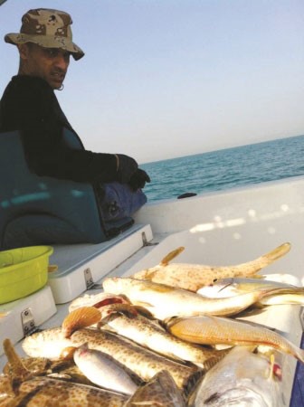 صيد اقواع الكويت﻿
