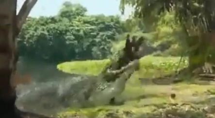 بالفيديو.. إعلان مرعب لتمساح يلتهم فتاة أمام صديقتها!