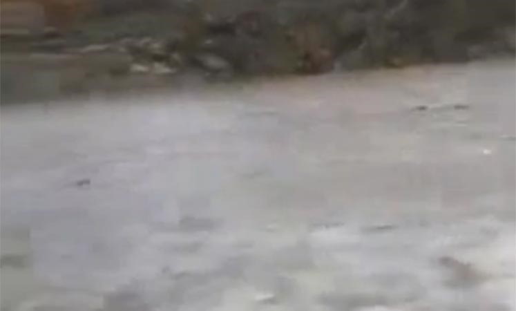 بالفيديو.. أمطار غزيرة على مكة المكرمة مصحوبة برعد وبرق