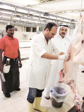 الفحص الطبي للاضاحي ضرورة للحفاظ على صحة المستهلكين
