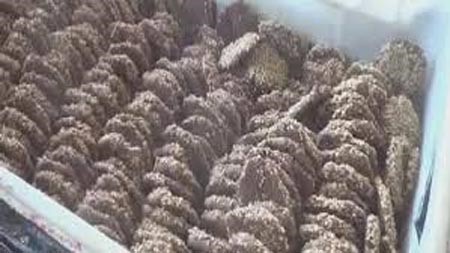 بالفيديو.. دمشقيون يبتكرون "برازق العدس": سنفرح بالعيد رغم الموت