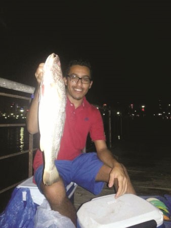 نويبي مطاعة﻿