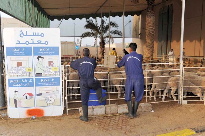 لوحة ارشادية في مسلخ السالمية حول مراحل ذبح الاضحية ﻿