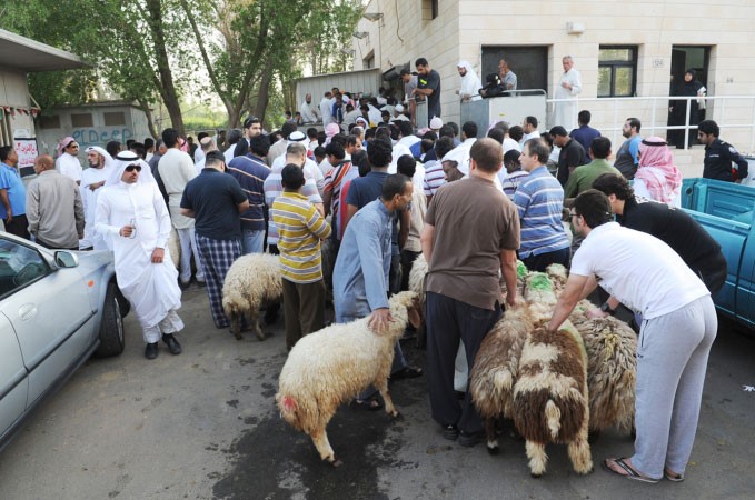 المواطنون والمقيمون احضروا اضاحيهم الى مسلخ الشويخ لثقتهم باجراءات السلامة والنظافة﻿