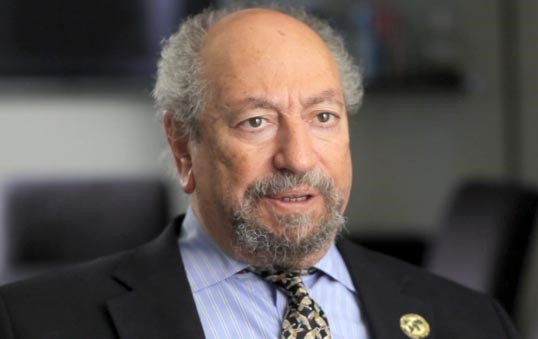 دسعد الدين ابراهيم