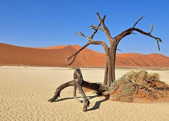 بالصور.. أغرب المناظر الطبيعية حول العالم