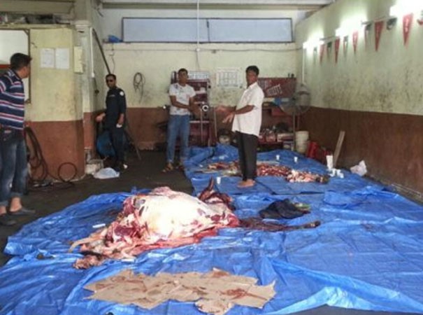 لحظة القبض على جزارين مخالفين خلال ذبحهم بقرة داخل الكراج﻿