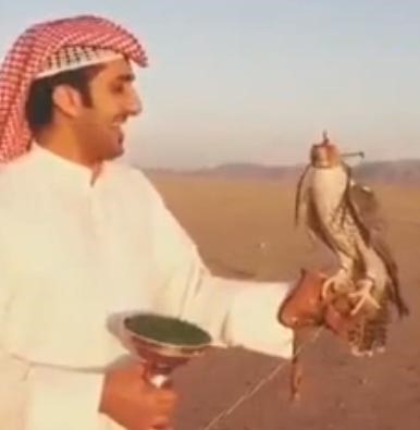 بالفيديو ... كويتي خائف من صقر يحمله على يده