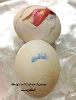  بيض مفرخ بـ صوص﻿