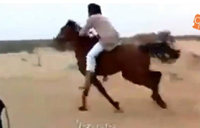 بالفيديو.. سقوط عنيف لـ شاب سعودي من على ظهر حصان مسرع!
