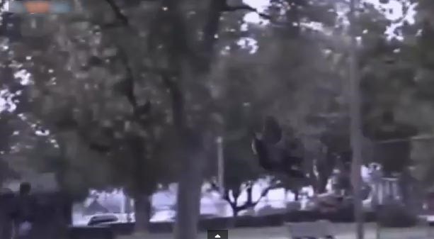 بالفيديو.. الهالوين.. مزحة مرعبة تطارد الناس