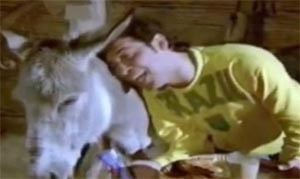 بالفيديو..انتشار أغاني الـ”توك توك” يثير حفيظة الشارع المصري 