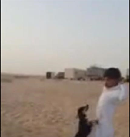 بالفيديو.. تعنيف طفل بواسطة كلب يثير موجة من الانتقادات في السعودية
