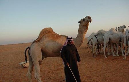  بالفيديو.. رجلا أعمال يحقّقان لطفل أمنيته بإهدائه « قعودين» من الإبل المزايين في السعودية