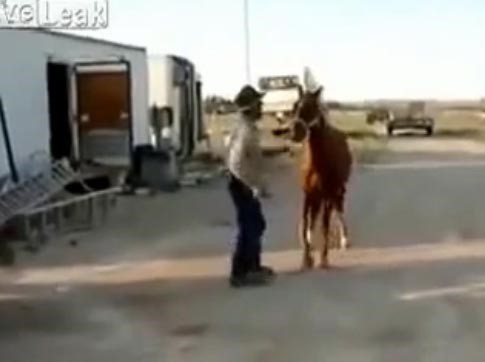 بالفيديو.. أميركي يقتل حصانه بدم بارد!!