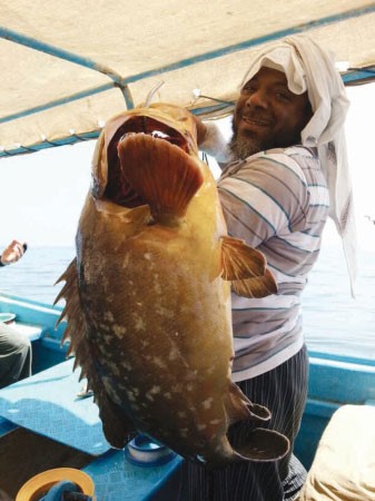 النوخذة نواف الدويسان مع هامور عمان﻿