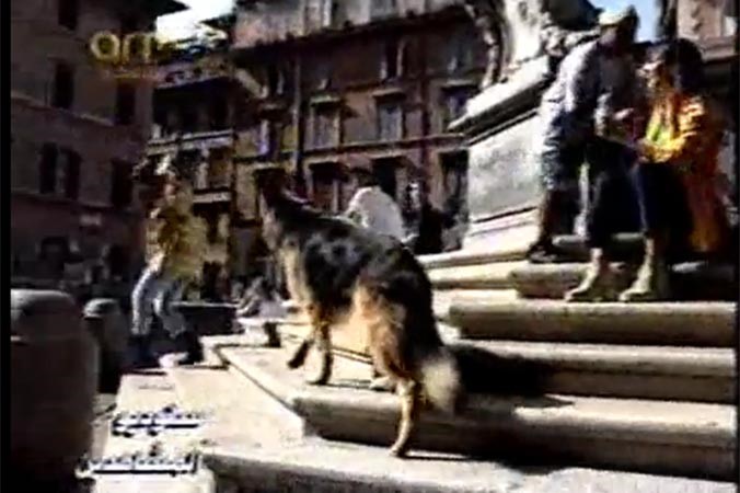 بالفيديو.. مقطع نادر لأحلام قبل 17 عاماً وهي خائفة من كلب ضخم