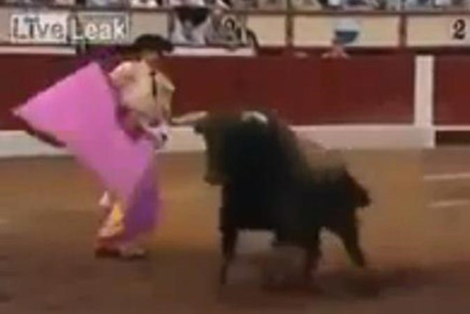 بالفيديو.. ثور ينقلب على ظهره وقرونه تنغرس في الأرض خلال مصارعة الثيران