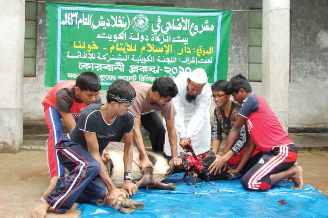 مشروع الاضاحي
