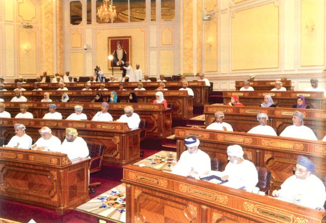 مجلس الدولة رافد حيوي للمشاركة في التنمية الشاملة