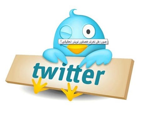 صور: هل تعرف عصفور تويتر الحقيقي؟