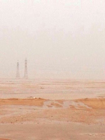 وصورة اخرى تداولها مغردون لسيول السالمي ﻿