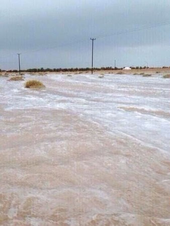 صورة تداولها مغردون امس لسيول في منطقة السالمي﻿