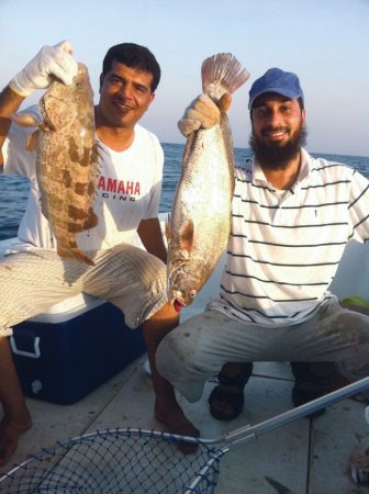 احلى بالول وفرخ شماهي﻿