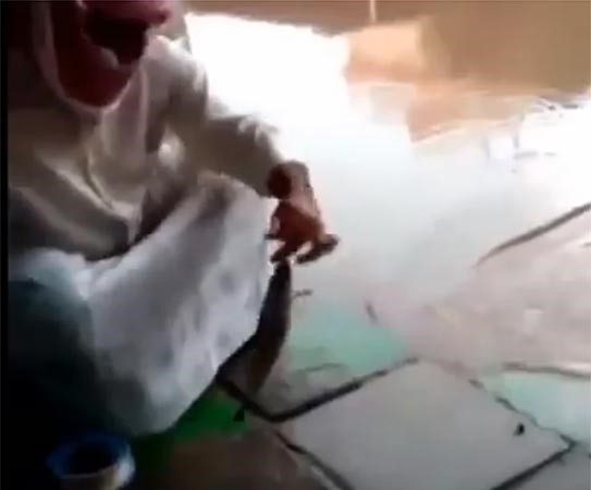 بالفيديو.. كويتي يصطاد سمكة من أمام منزله!