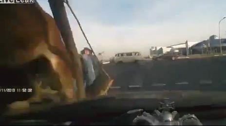 بالفيديو... حادث غريب بين سيارة وعربة خيل على طريق سريع!