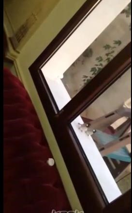 بالفيديو.. عصفوران على شباك أحلام يثيران ضحكها بشكل هستيري  