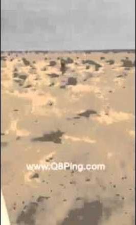 بالفيديو.. كويتيون يطاردون ضبعاً في بر الصبية