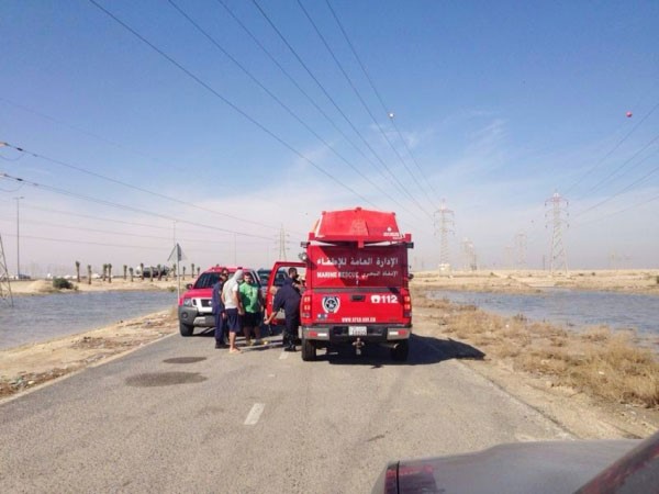  البرك المائية ادت الى غرز مركبات في البر﻿