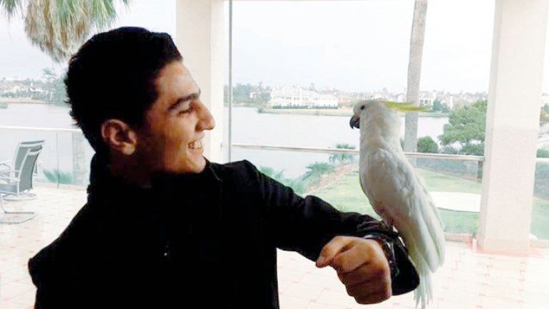 عساف يحمل ببغاء