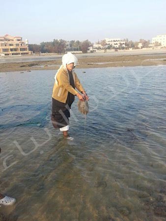 المواطن خالد شميس يحمل احدى اللخمتين الصغيرتين﻿