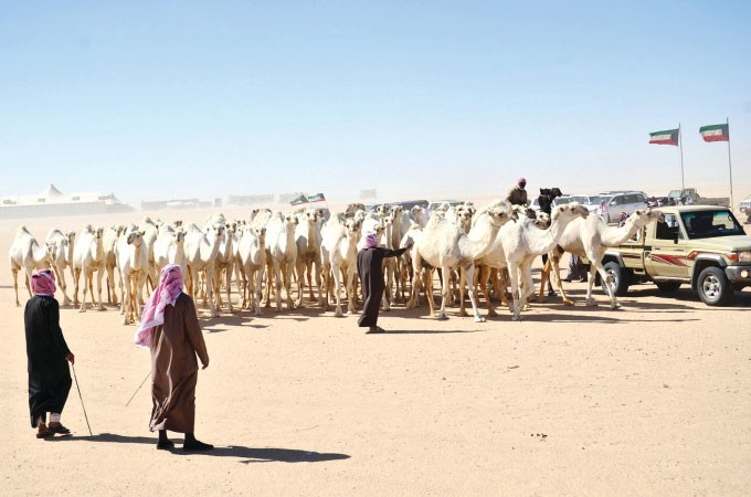صباح الناصر: ميزانية الموروث الشعبي مليون دينار