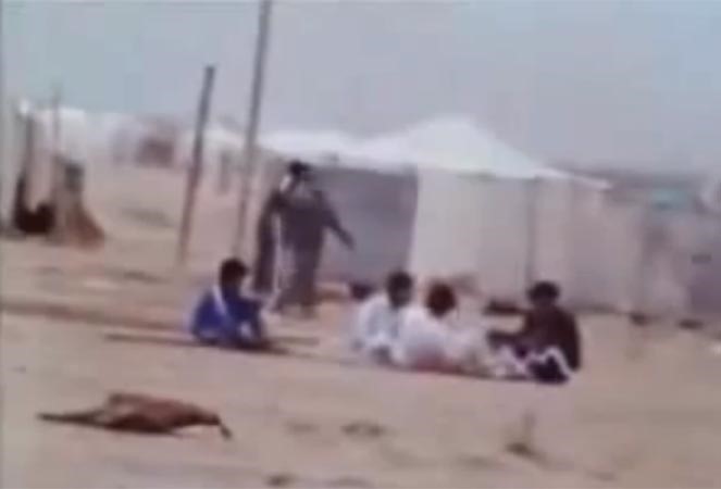 بالفيديو.. مخيمات البر في الكويت عام 1980