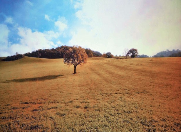 احد المناظر الطبيعية ﻿
