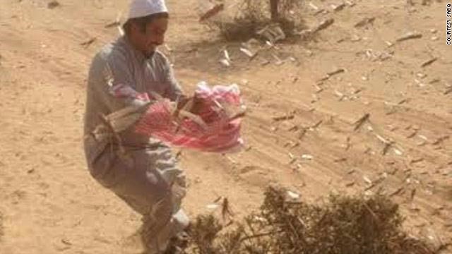 التغذية البلجيكية تجيز أكل الجراد والسعودية تستعد لمكافحته 