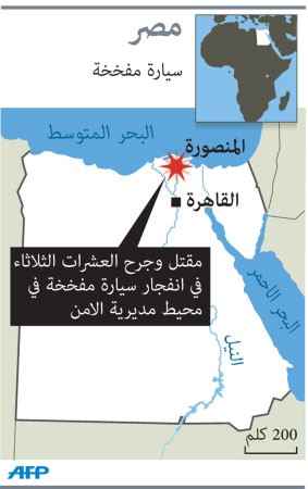 الحكومة المصرية: الإخوان جماعة وتنظيم إرهابي